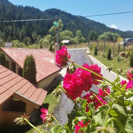 дяволска пътека * Borino