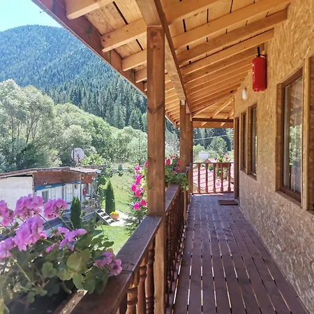 дяволска пътека * Borino